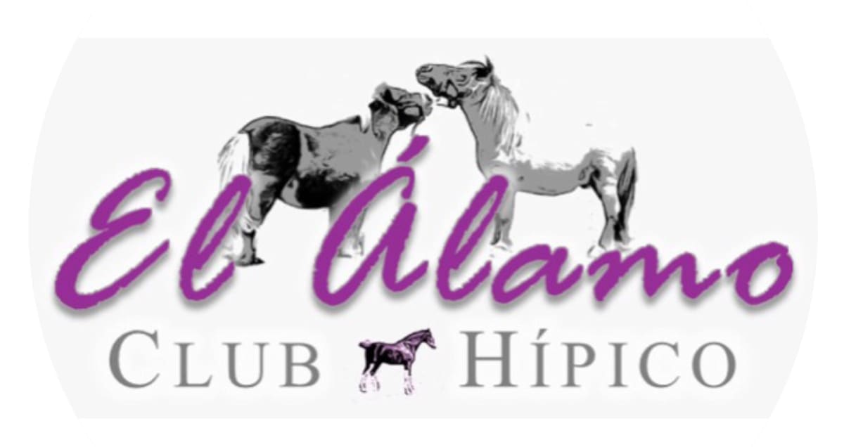 El Álamo - Club Hípico (Riding School • Jumping lessons • Private Horse Stable) - Hipica em Media Fanega