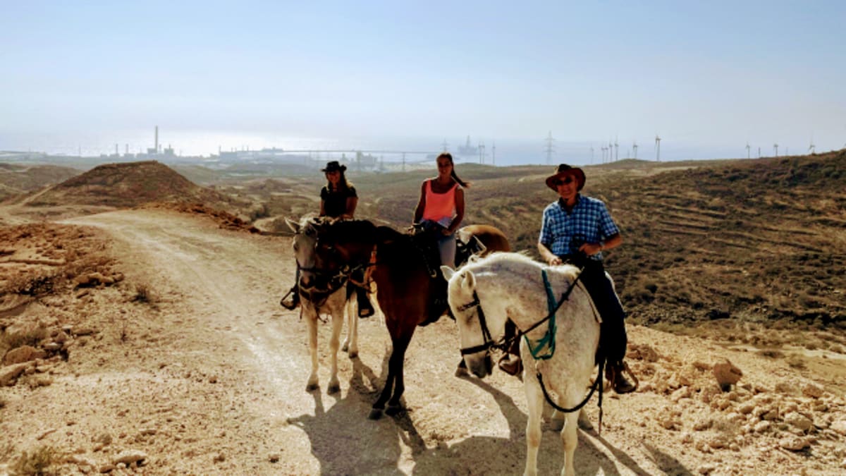 Wild Horse Adventures Tenerife - Hipica in El Desierto