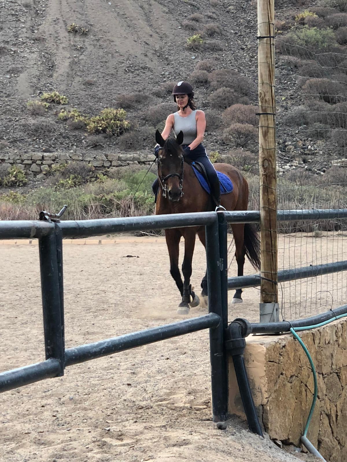 Centro Hípico Hipovet Canarias ( Club del Pony ) - Hipica en Las Palmas