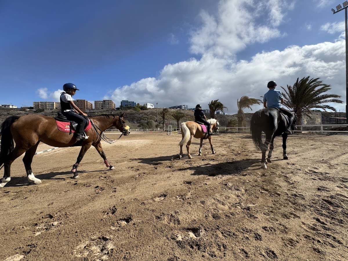 Club Hípico New Cortijo Team - Hipica in Telde