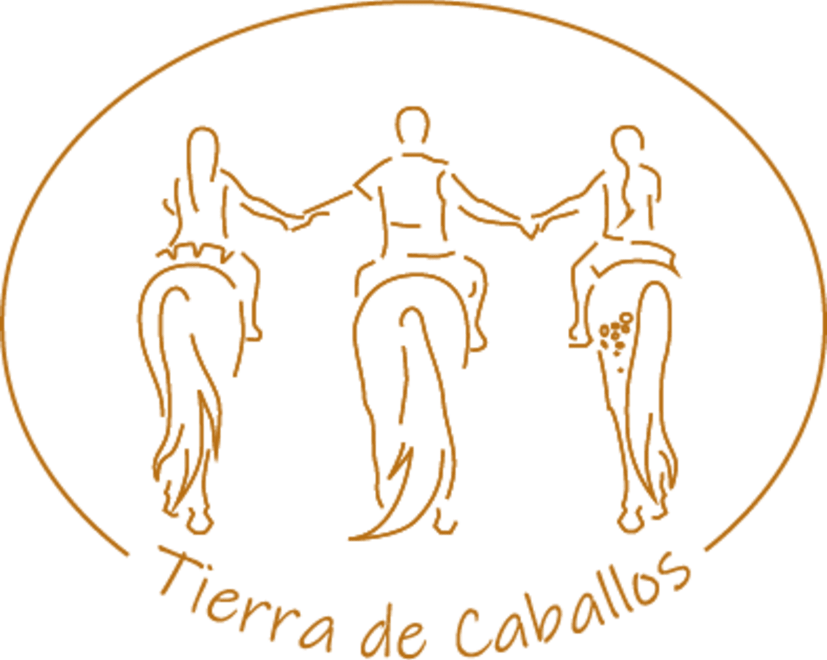 Tierra de Caballos - Hipica in Arucas