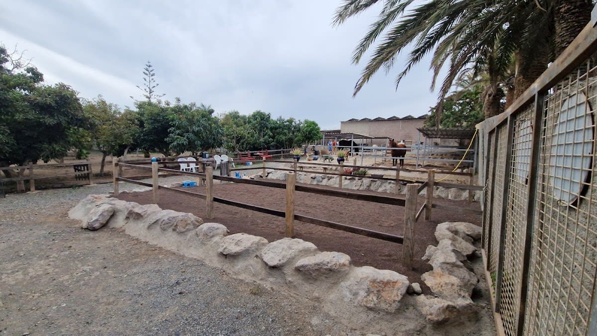 El Álamo - Pony Farm - Hipica in San Bartolomé de Tirajana
