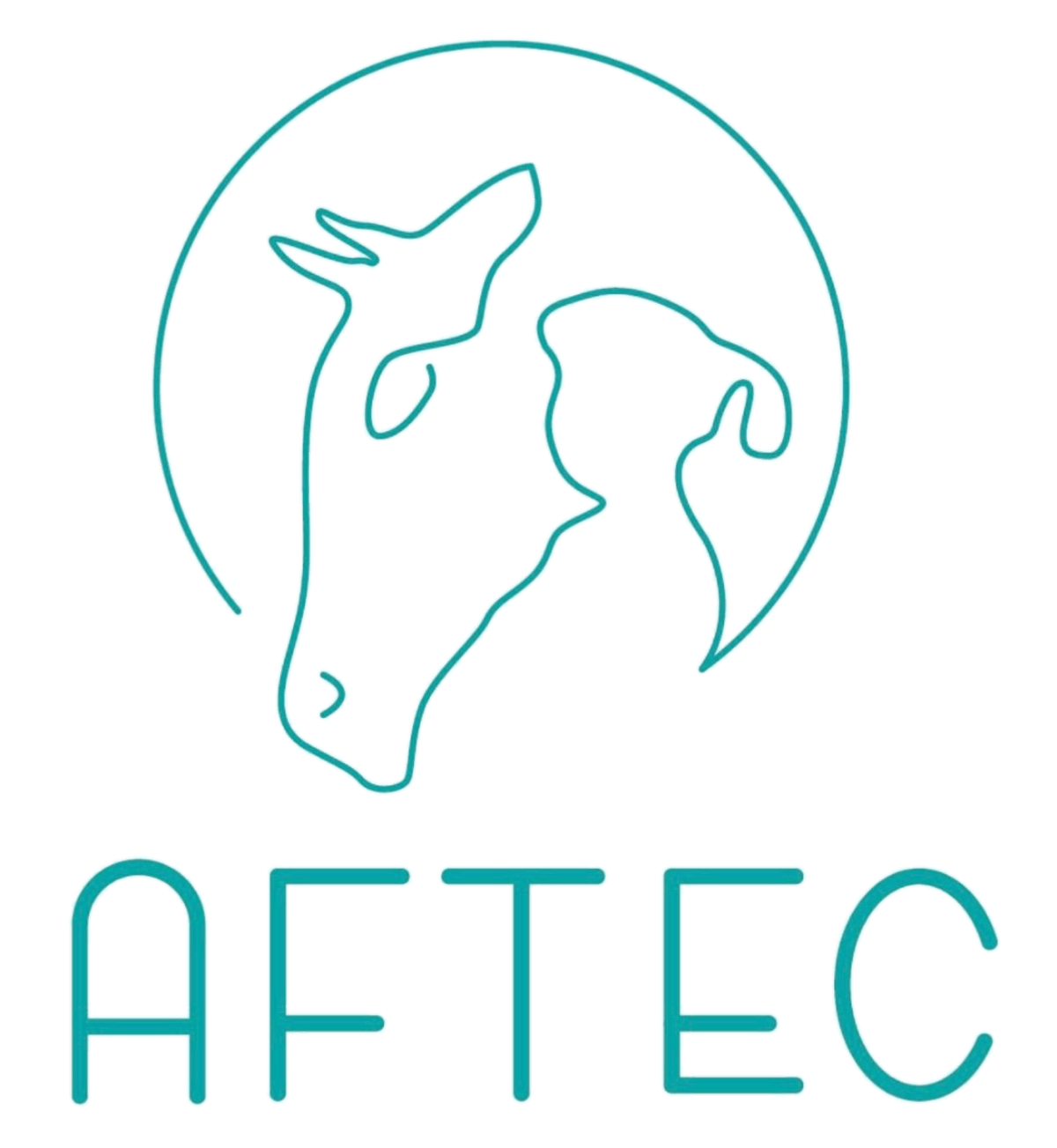 AFTEC - Asociación para el Fomento de las Terapias Ecuestres en Canarias - Hipica in Telde