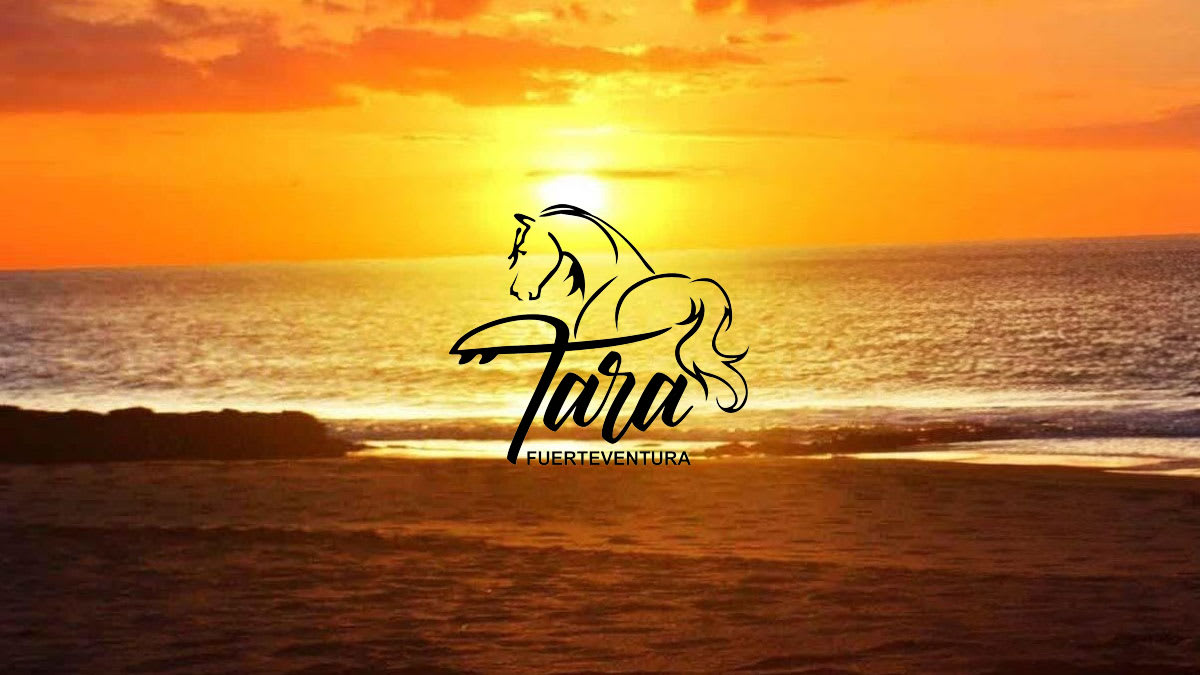 Granja Tara,Fuerteventura - Hipica in La Oliva