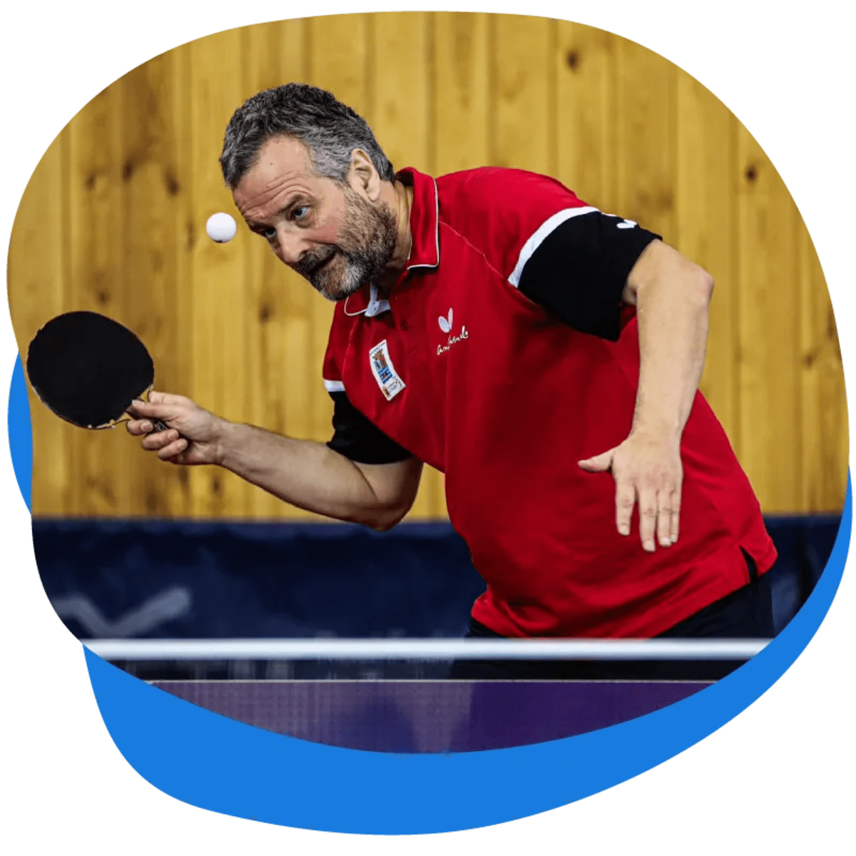 Federación de Tenis de Mesa del Principado de Asturias - Tenis_de_mesa en Oviedo