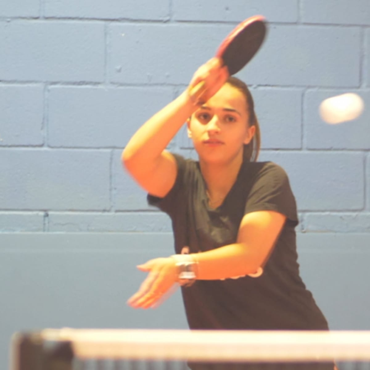 Valencia Tenis de Mesa City - Tenis_de_mesa en València