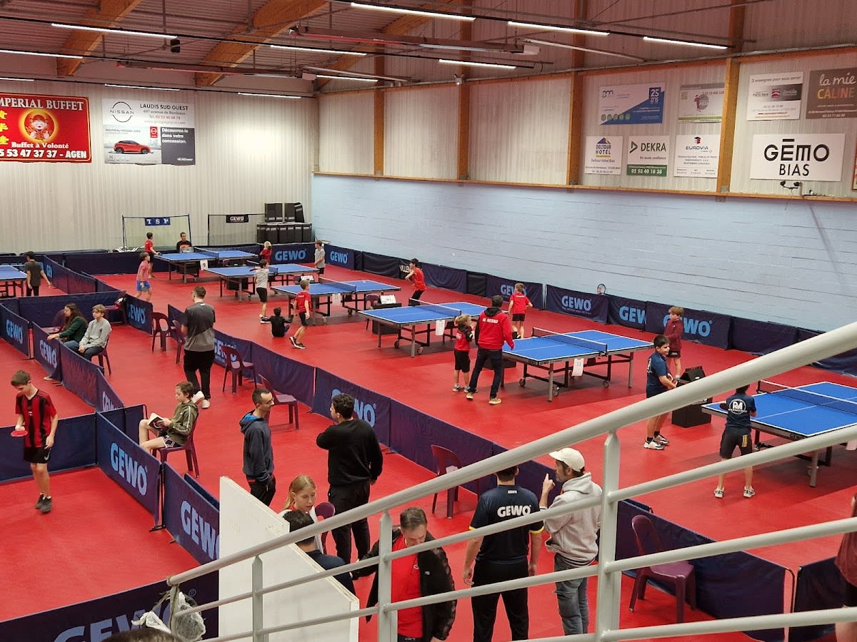 Ping Pong Club Villeneuve Sur Lot - Tenis_de_mesa en Villeneuve-sur-Lot