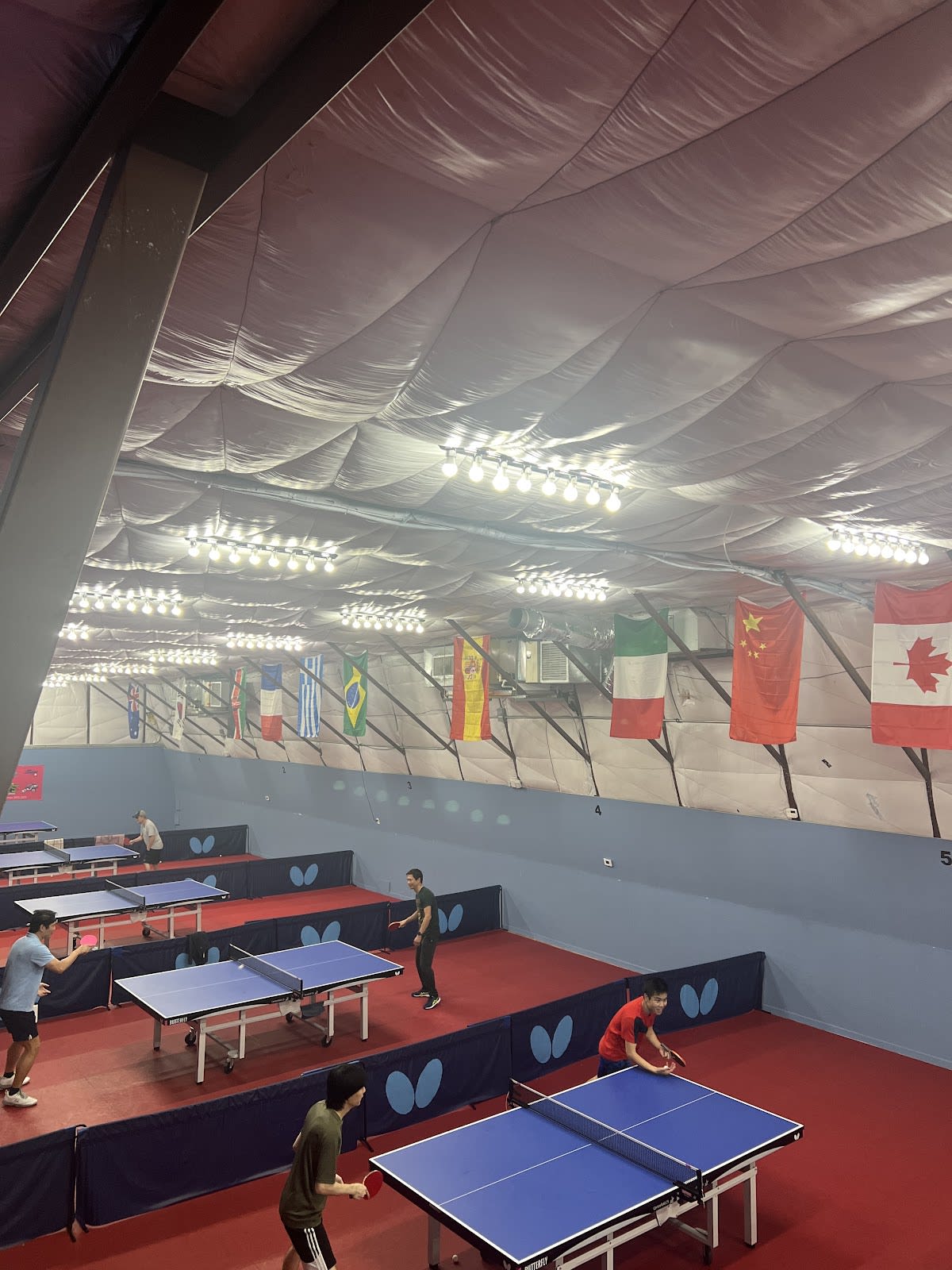 Austin Table Tennis Club - Tenis_de_mesa en Austin