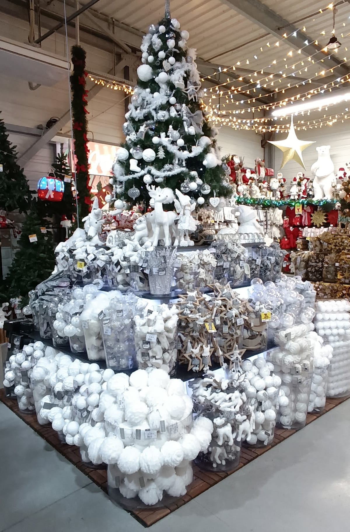 Tennis de Table Lescar - Tenis_de_mesa en Lescar