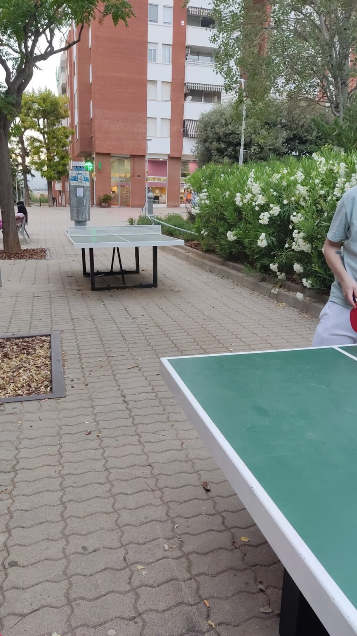 Taules Ping Pong - Tenis_de_mesa en Sant Joan Despí