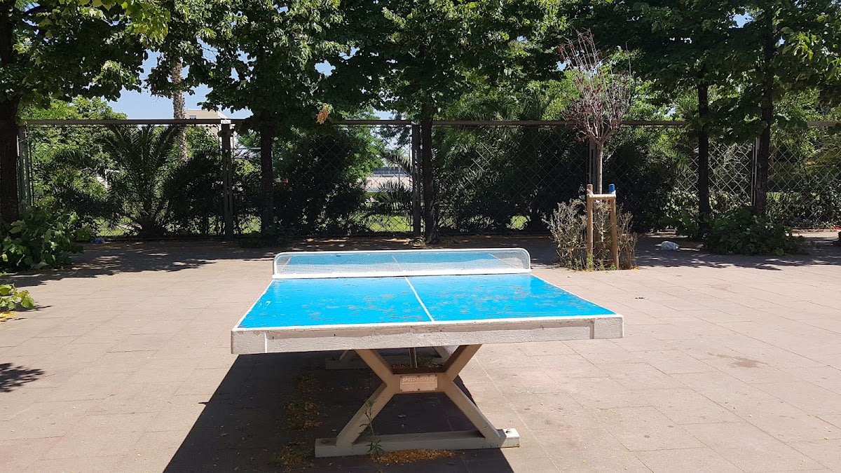 Tennis taula Can Dragó - Tenis_de_mesa in Barcelona