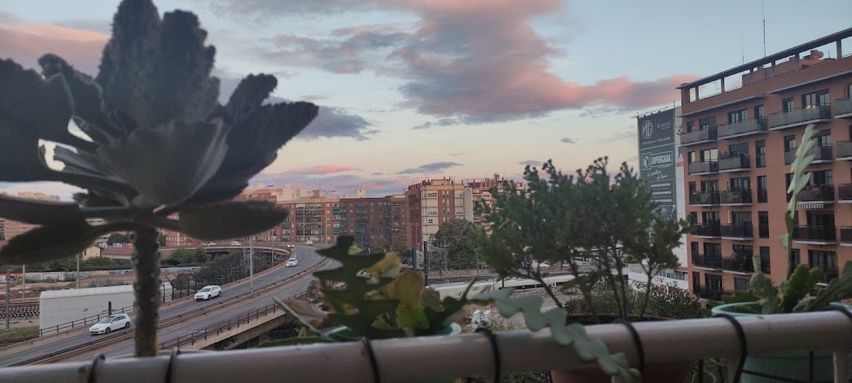 Mesas urbanas de tenis de mesa - Tenis_de_mesa in València