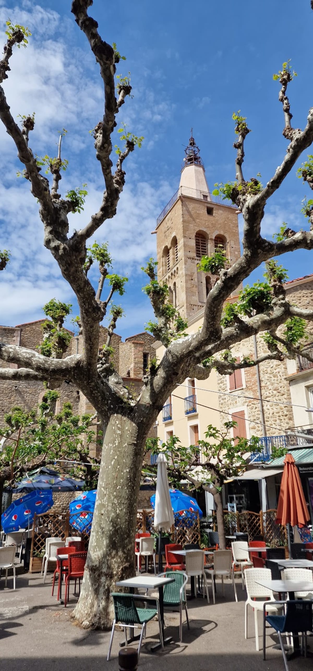 Prades Conflent Canigó Tennis de Table (PCCTT) - Tenis_de_mesa en Prades