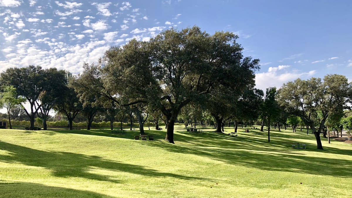 Club El Tejar de Somontes - Hipica em Madrid
