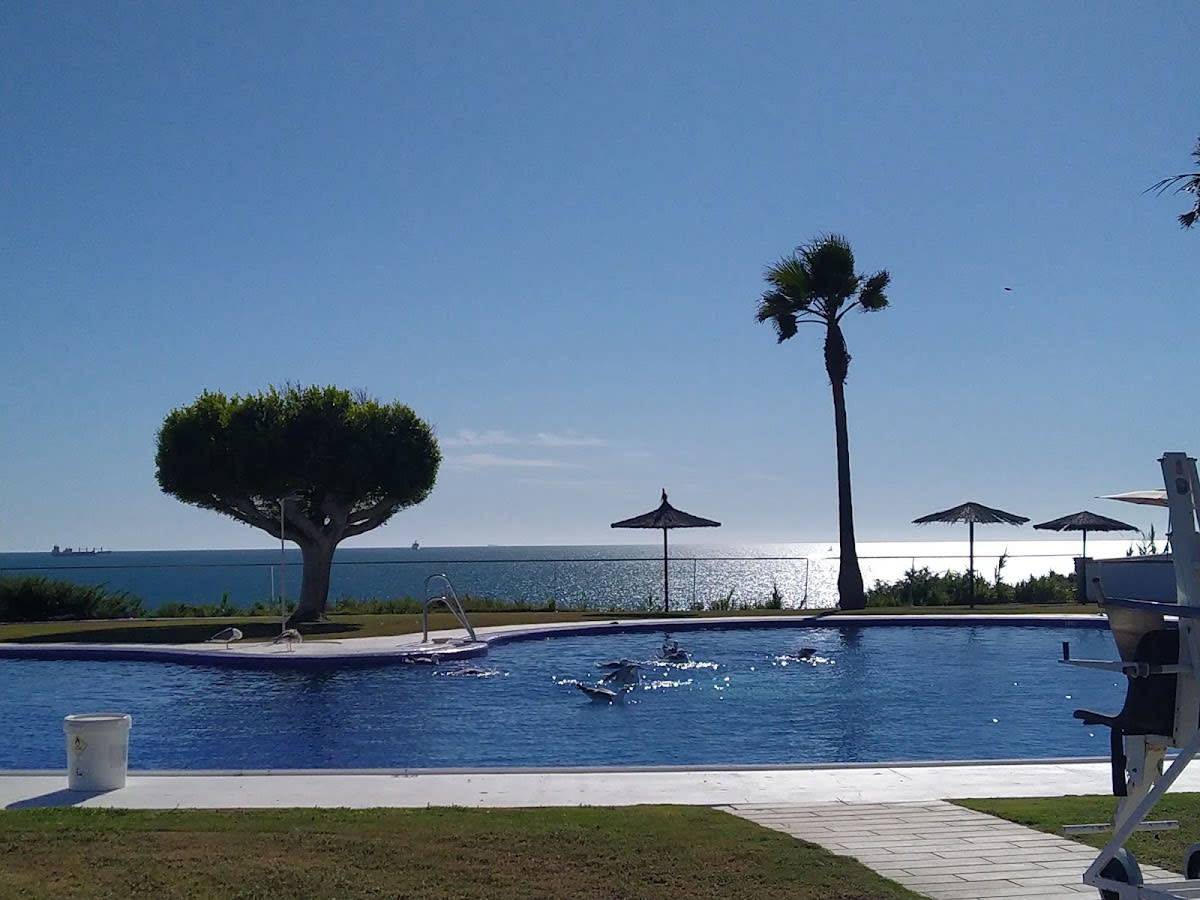 CLUB LAS REDES - Tenis_de_mesa en El Puerto de Santa María