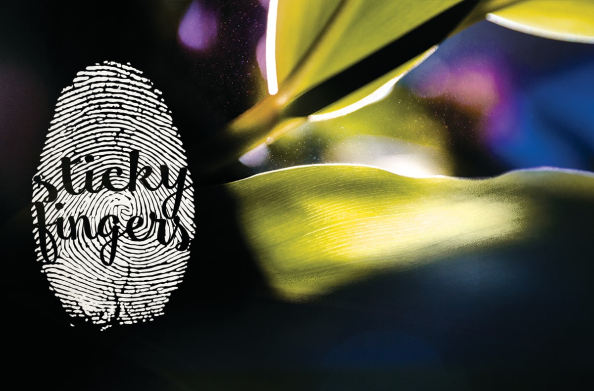 Sticky Fingers Marbella - Tenis_de_mesa en Marbella