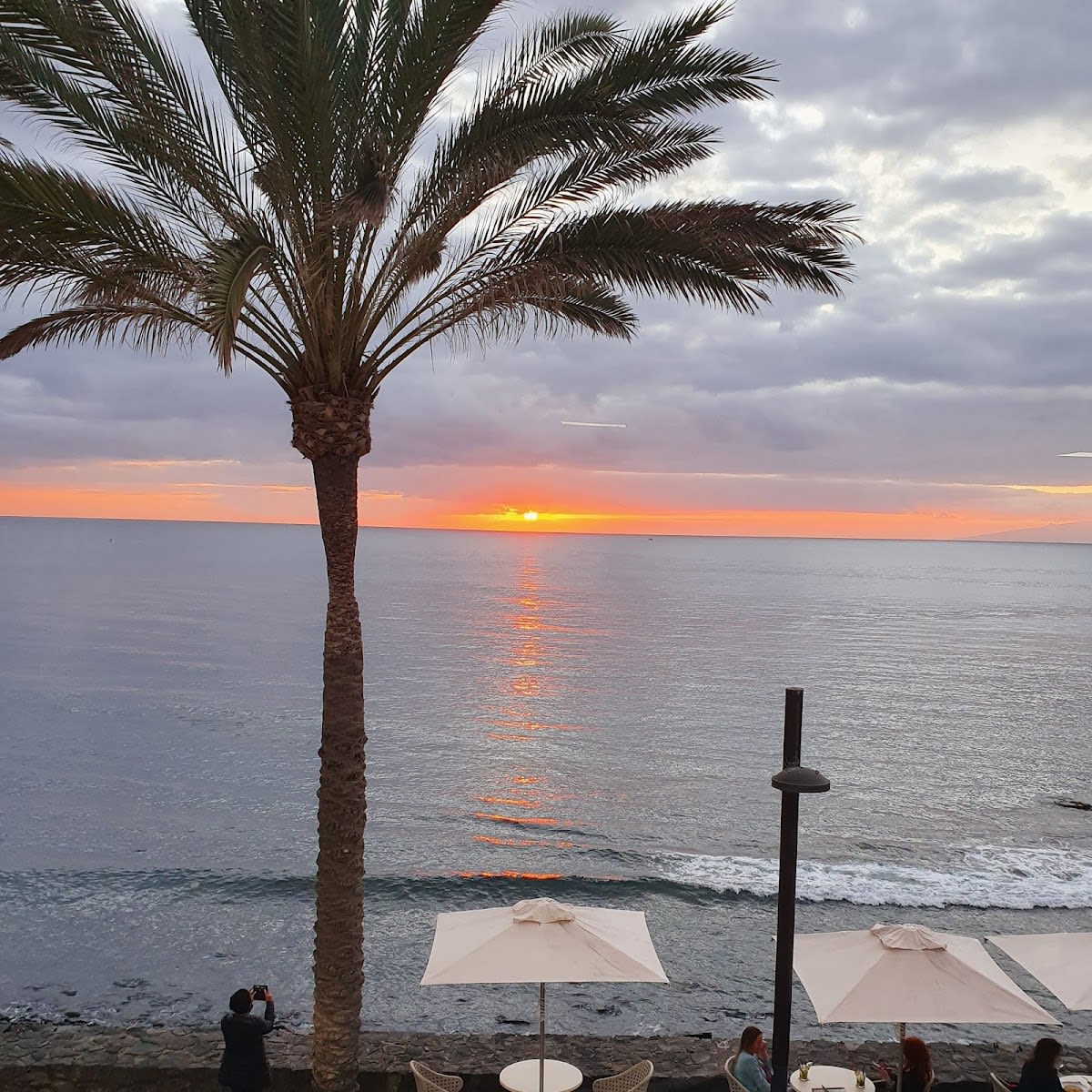 THE GREEN HOUSE TENERIFE - Tenis_de_mesa en Playa de las Américas