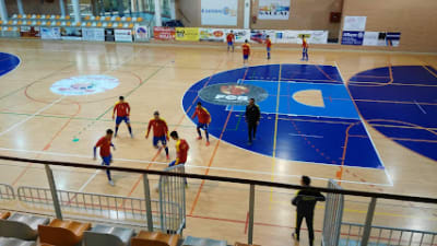 Pabellón Camino de Santiago - judo in San Andrés del Rabanedo