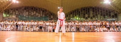 Karate Do Miyazato - karate in Madrid