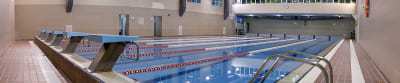 Piscina Cubierta - natacion in Villamartín