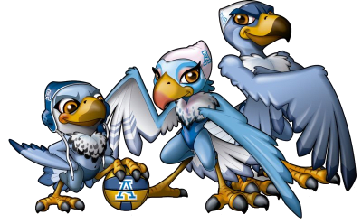 Club Natación Ciudad de Alcorcón - natacion in Alcorcón