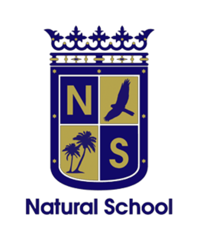 Natural School Beach - surf in Santa Pola