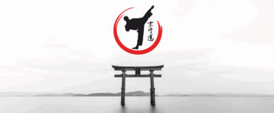 Karate Gokai - karate in Los Realejos