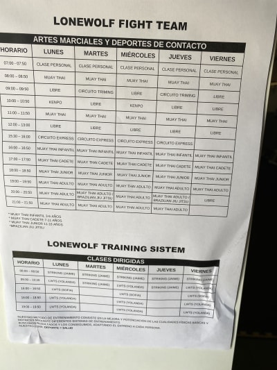 Lonewolf - karate in Coria del Río