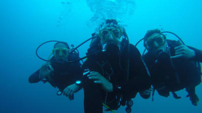 Revolution Dive - Altea - natacion in Altea