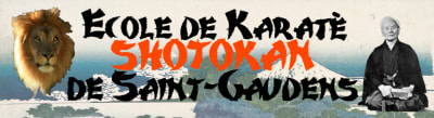 School Karate De Saint Gaudens - karate in Saint-Gaudens