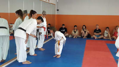 Dojo Senshi - judo in Vitoria-Gasteiz