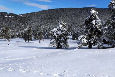 Rasos de Peguera altitude - ski in Castellar del Riu