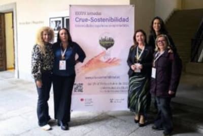 Polideportivo Universidad de la Laguna - fútbol in La Laguna