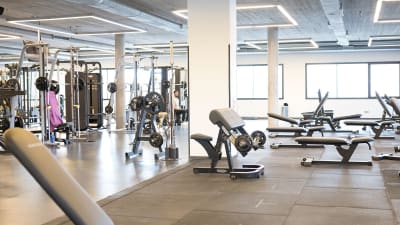 Body Factory - natacion in Algeciras