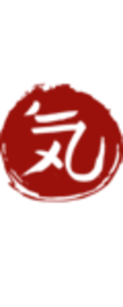 Dojo Chushinkan | Aikido Pamplona - judo in Pamplona