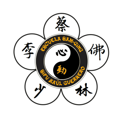 Escuela de Artes Marciales Sam Ging - karate in Zaragoza