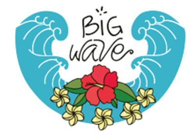 Big Wave Surf School - kitesurf in El Palmar de Vejer