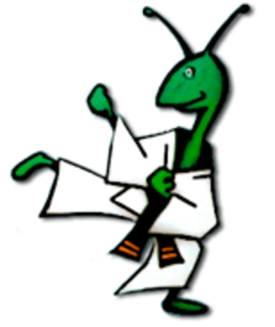 Federación Extremeña De Karate - karate in Cáceres