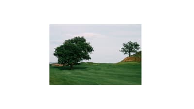 Federación Riojana de Golf - golf in Logroño