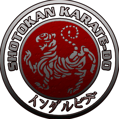 Gimnasio Indarbide - karate in Moreaga