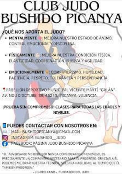 Club de Judo Bushido Picanya - judo in Picanya