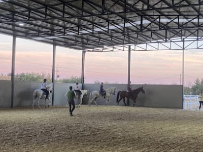 Horse Society Lebrera - tenis in Badajoz
