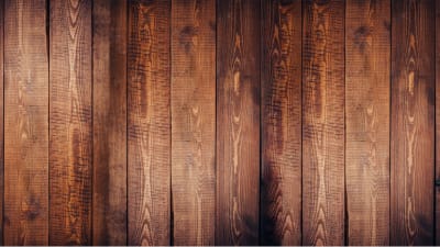 Trust dog resort - natacion in Ondara