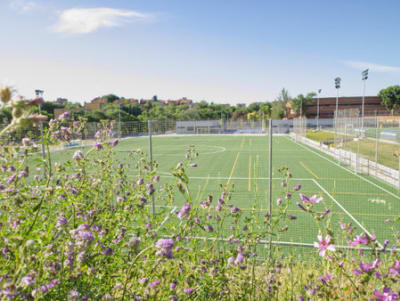 Municipal soccer field Pedro Escartín - rugby in Guadalajara