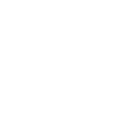 Section Paloise Béarn Pyrenees - rugby in Pau