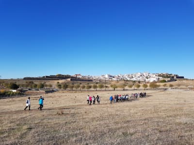 Municipal Stadium Athletics - rugby in Elvas