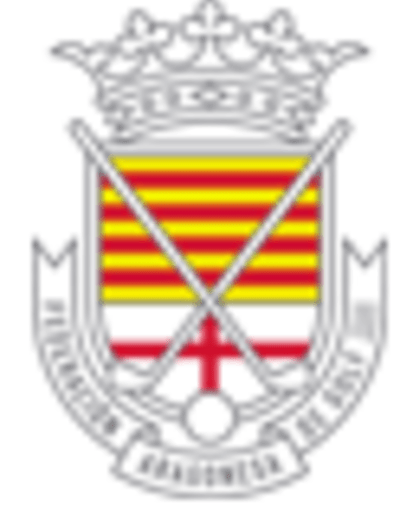 Federación Aragonesa de Golf - golf in Zaragoza