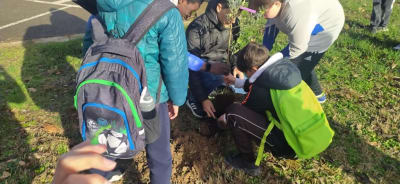 IES Secondary School Pyramid - natacion in Huesca