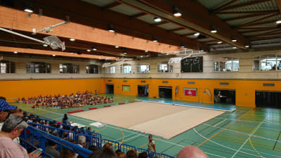 Polideportivo Municipal Germans Escalas - rugby in Palma