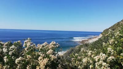 Mahi-Mahi Surf School, School And During Surf De Biarritz - kitesurf in Biarritz